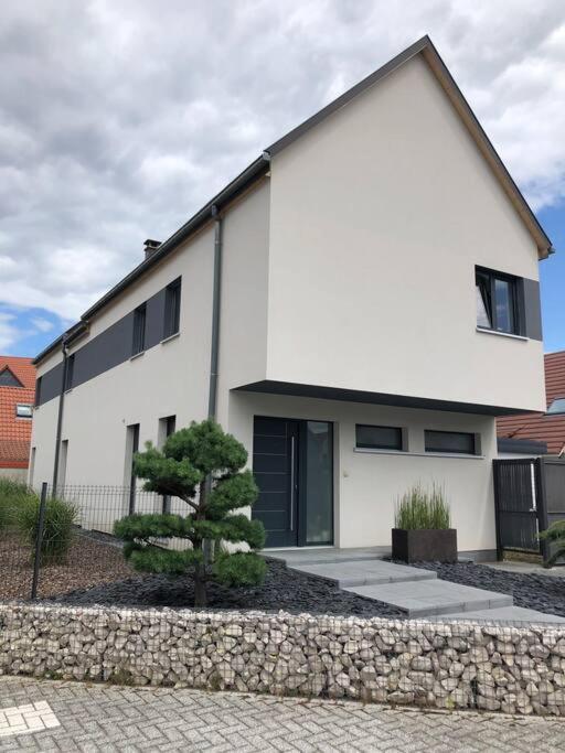 Villa Maison D'architecte Situee Sur La Route Des Vins Chatenois (Bas-Rhin)